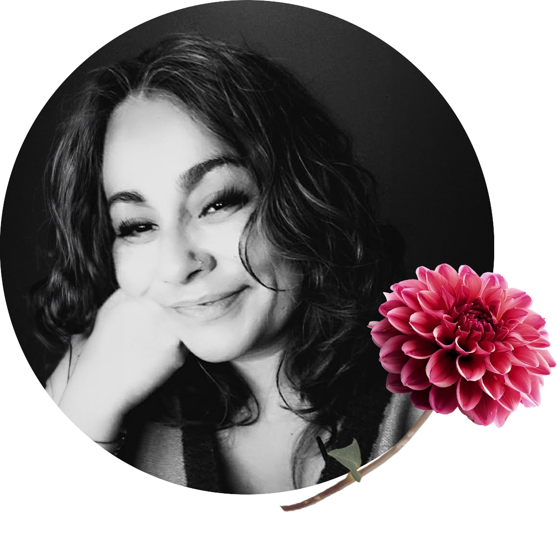 Claudia Red:purple Dahlia