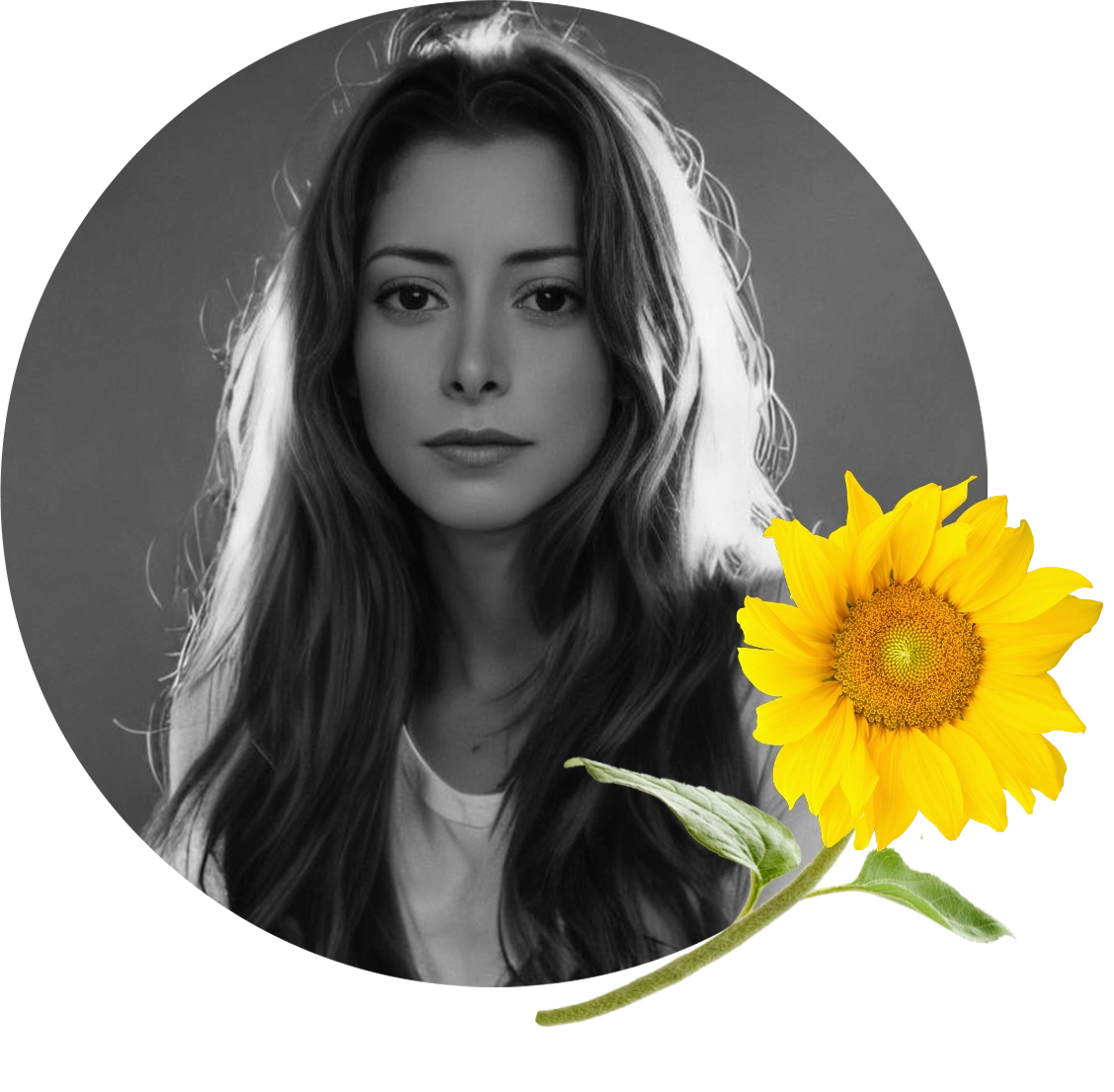 Daniela Sunflower