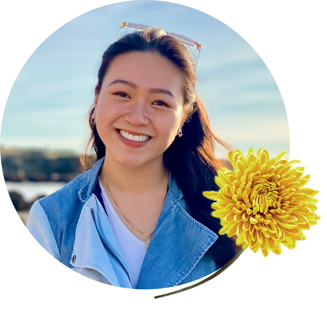 Kendra yellow chrysanthemum